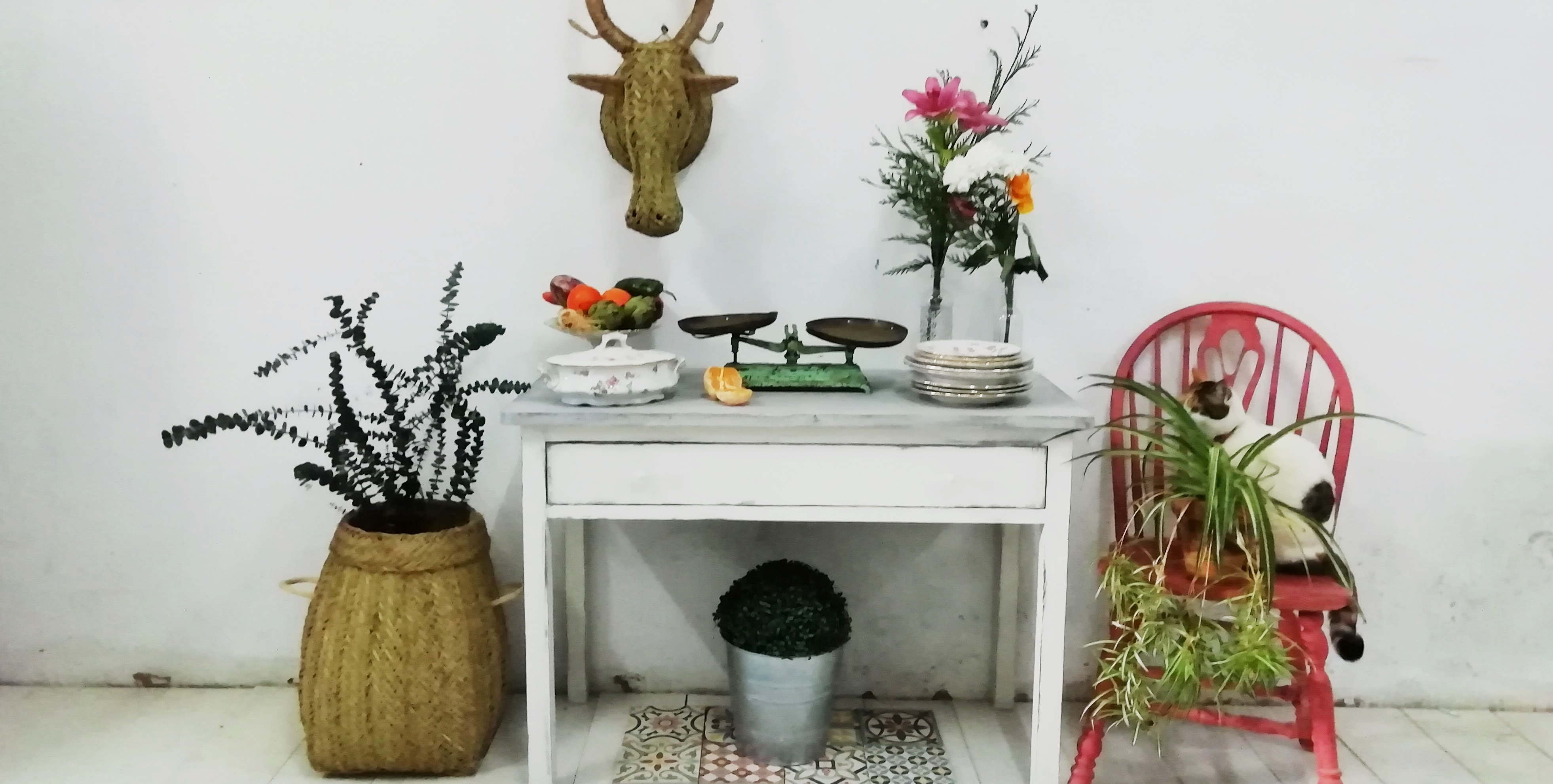 De bajo oscuro y sombrío a vivienda con aire parisino | Bohemian and chic